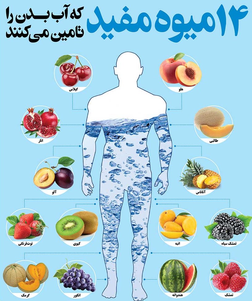 اینفوگرافی | با 14 میوه&zwnj; تامین کننده آب بدن، آشنا شوید