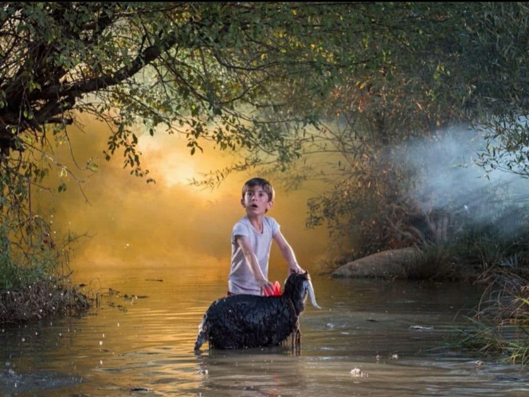 معرفی نامزدهای هفتمین مسابقه بهترین عکاس سال سینمای ایران + عکس معرفی نامزدهای هفتمین مسابقه بهترین عکاس سال سینمای ایران + عکس