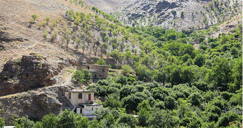 جواهر پیوهژن، آس نشتیفان و عیار بالای فرهنگ دیزباد بالا جواهر پیوهژن، آس نشتیفان و عیار بالای فرهنگ دیزباد بالا