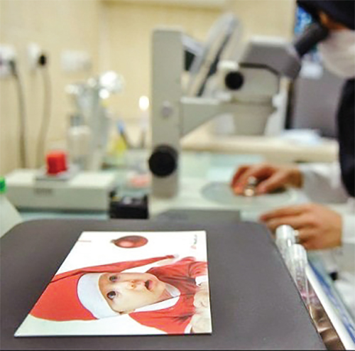 در جستوجوی مادری در جستوجوی مادری