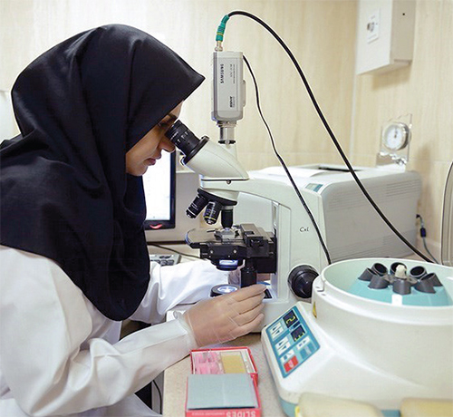 در جستوجوی مادری در جستوجوی مادری