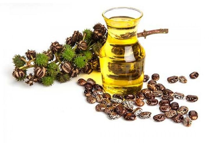 روغن کرچک برای تسکین زانو درد