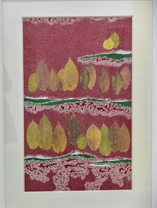 قابهایی از رمز و راز طبیعت قابهایی از رمز و راز طبیعت