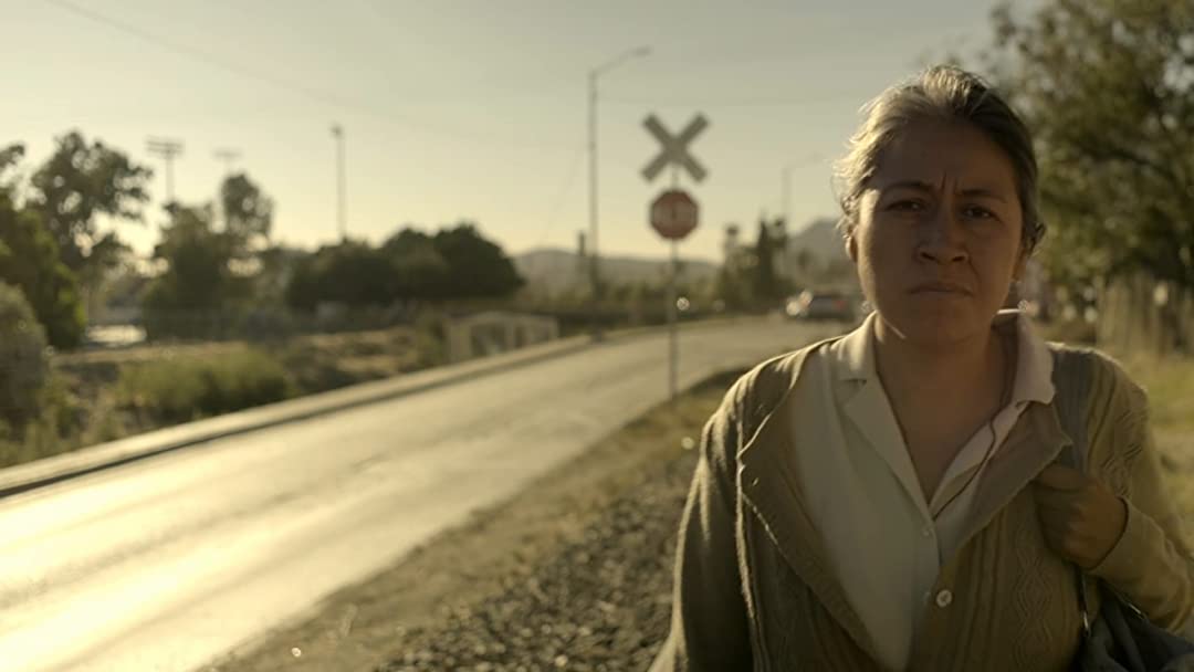 معرفی ۵۰ فیلم برتر سال ۲۰۲۱ معرفی ۵۰ فیلم برتر سال ۲۰۲۱