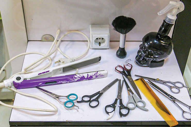 پیرایش تمام عیار پیرایش تمام عیار