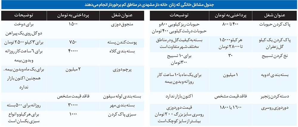 کارگران ارزان خانگی کارگران ارزان خانگی