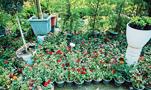 فروشندگانی که دیگر تولید نمیکنند فروشندگانی که دیگر تولید نمیکنند