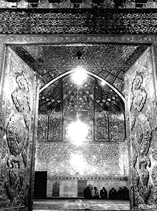 صد سال در سایه‌سار درخت ولایت