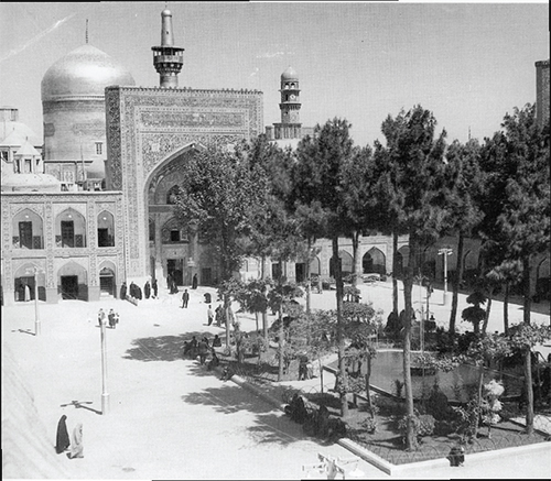 صد سال در سایه‌سار درخت ولایت