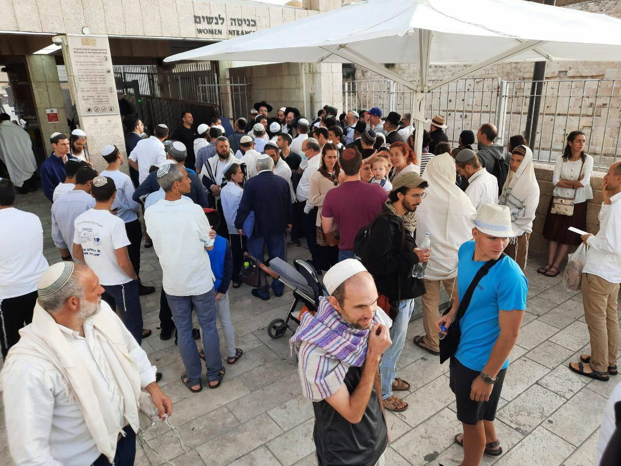 درماندگی صهیونیستها در برابر همت جوانان فلسطینی درماندگی صهیونیستها در برابر همت جوانان فلسطینی