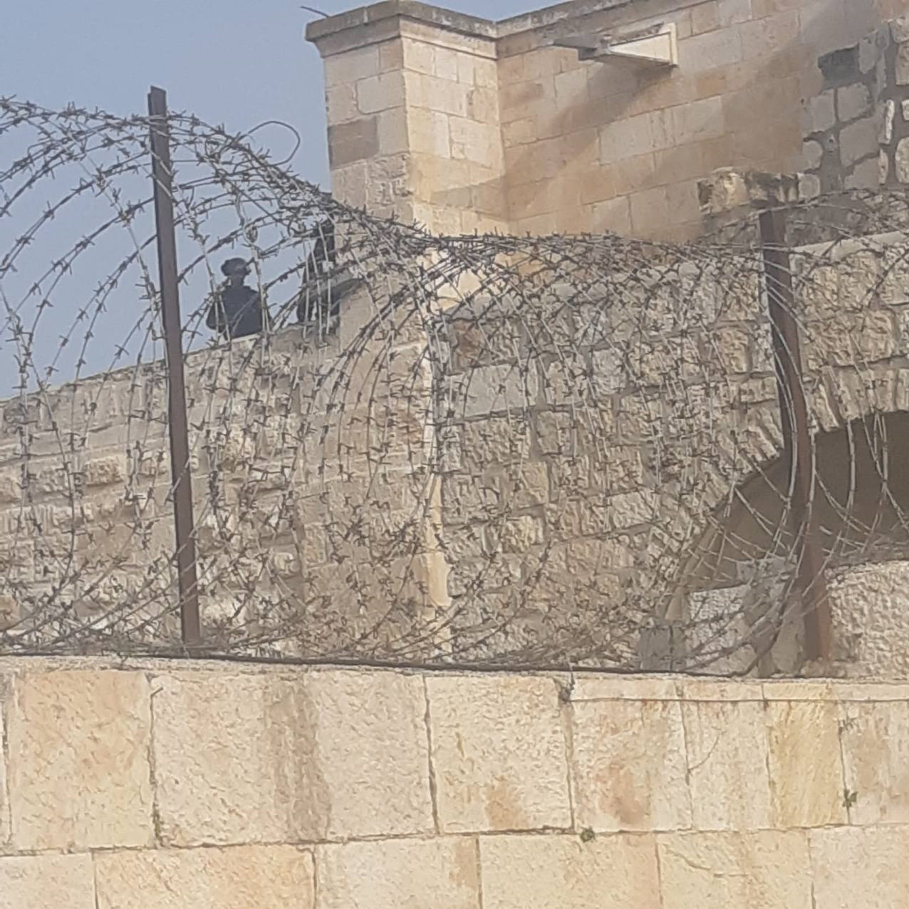 درماندگی صهیونیستها در برابر همت جوانان فلسطینی درماندگی صهیونیستها در برابر همت جوانان فلسطینی