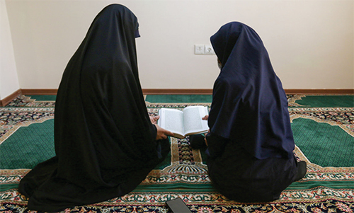 همگام با طرح «حافظین رضوی» همگام با طرح «حافظین رضوی»