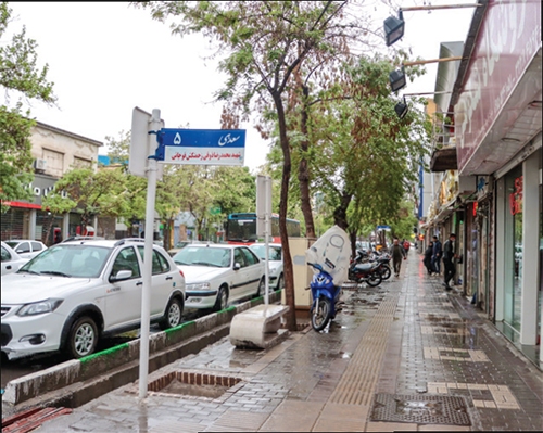 تاریخ خیابان شاعر