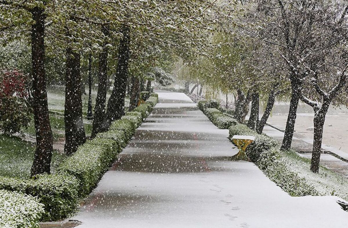 مدارس آذربایجان غربی فردا شنبه (۲۴ دی ۱۴۰۱) تعطیل شد