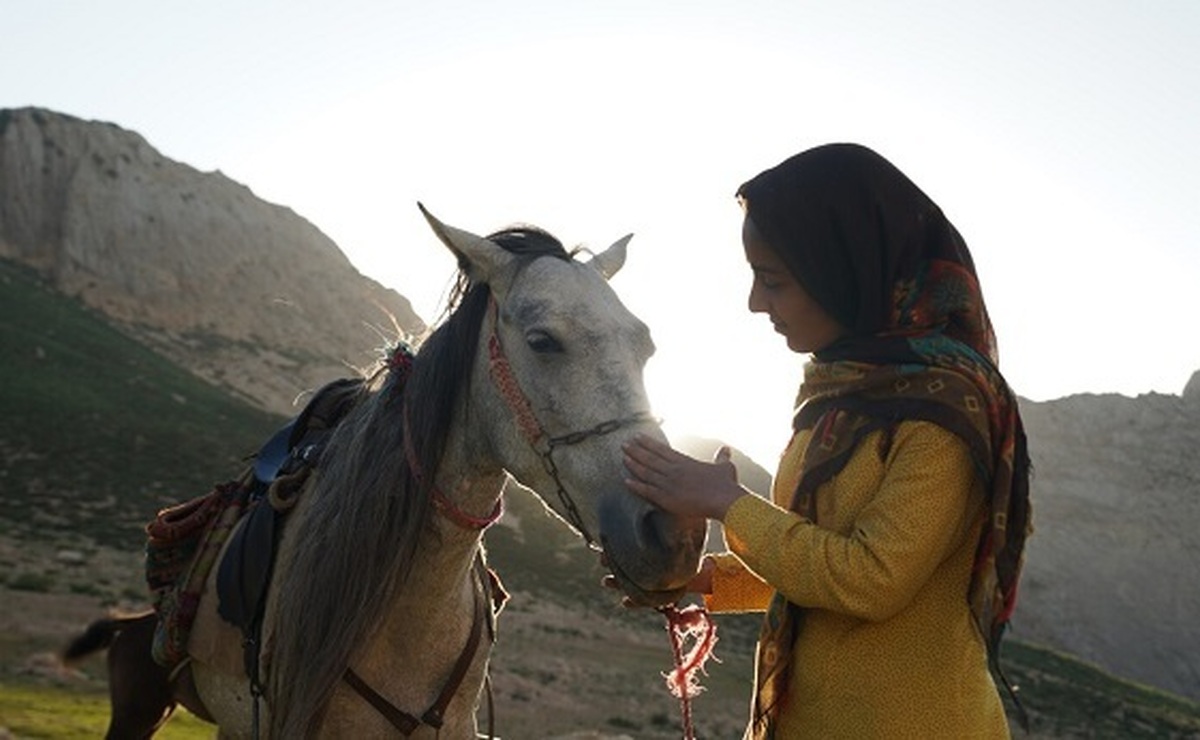 مستند «رویای یک اسب» در راه آمریکا