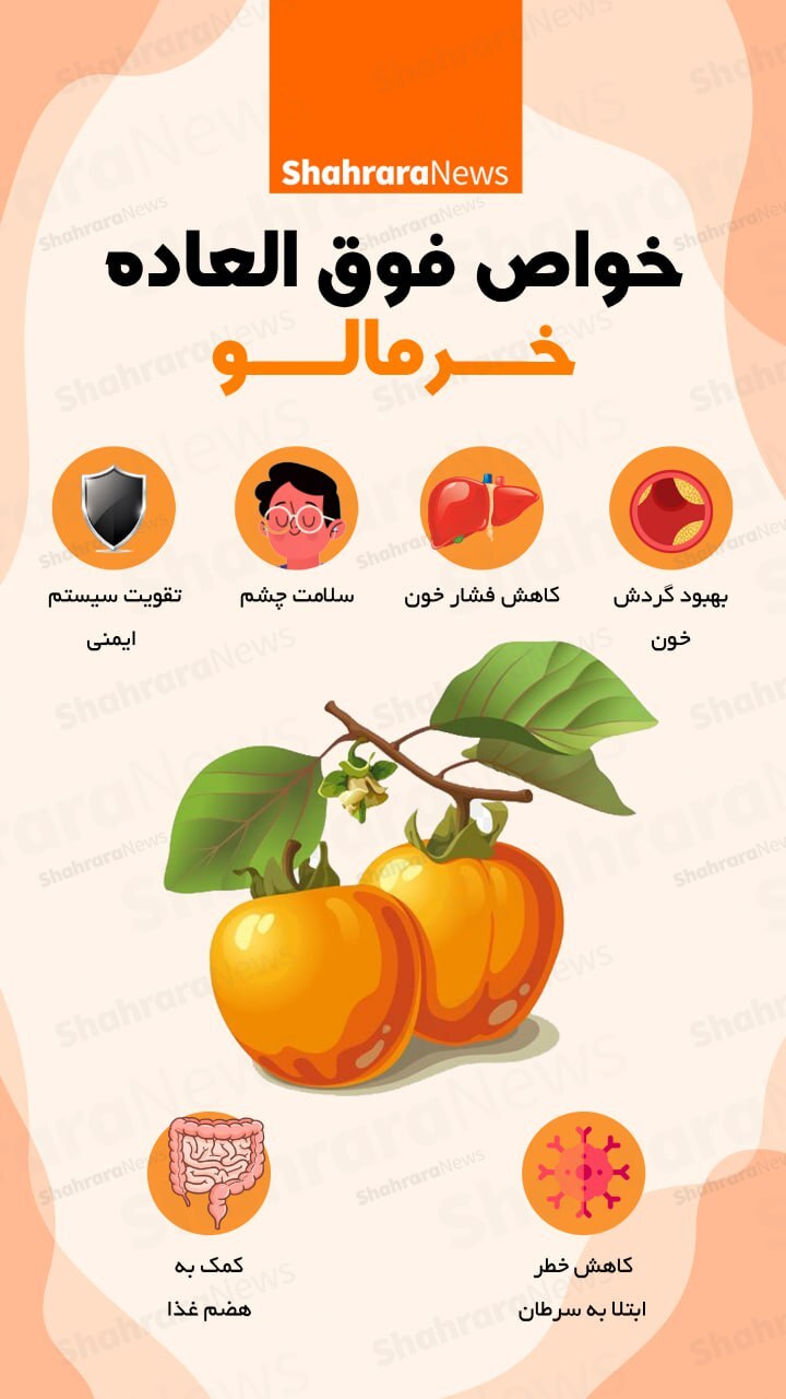 اینفوگرافی| خواص فوق‌العاده خرمالو