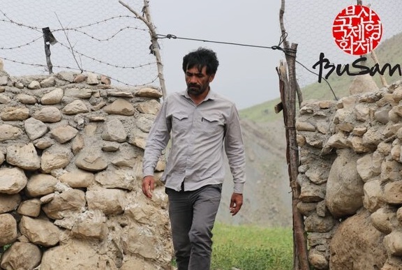 درخشش سینمای ایران در جشنواره‌های مهم جهانی