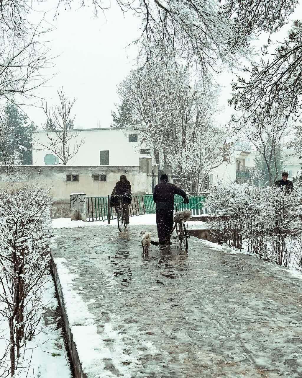 عکسهایی زیبا از یک روز برفی در کابل عکسهایی زیبا از یک روز برفی در کابل