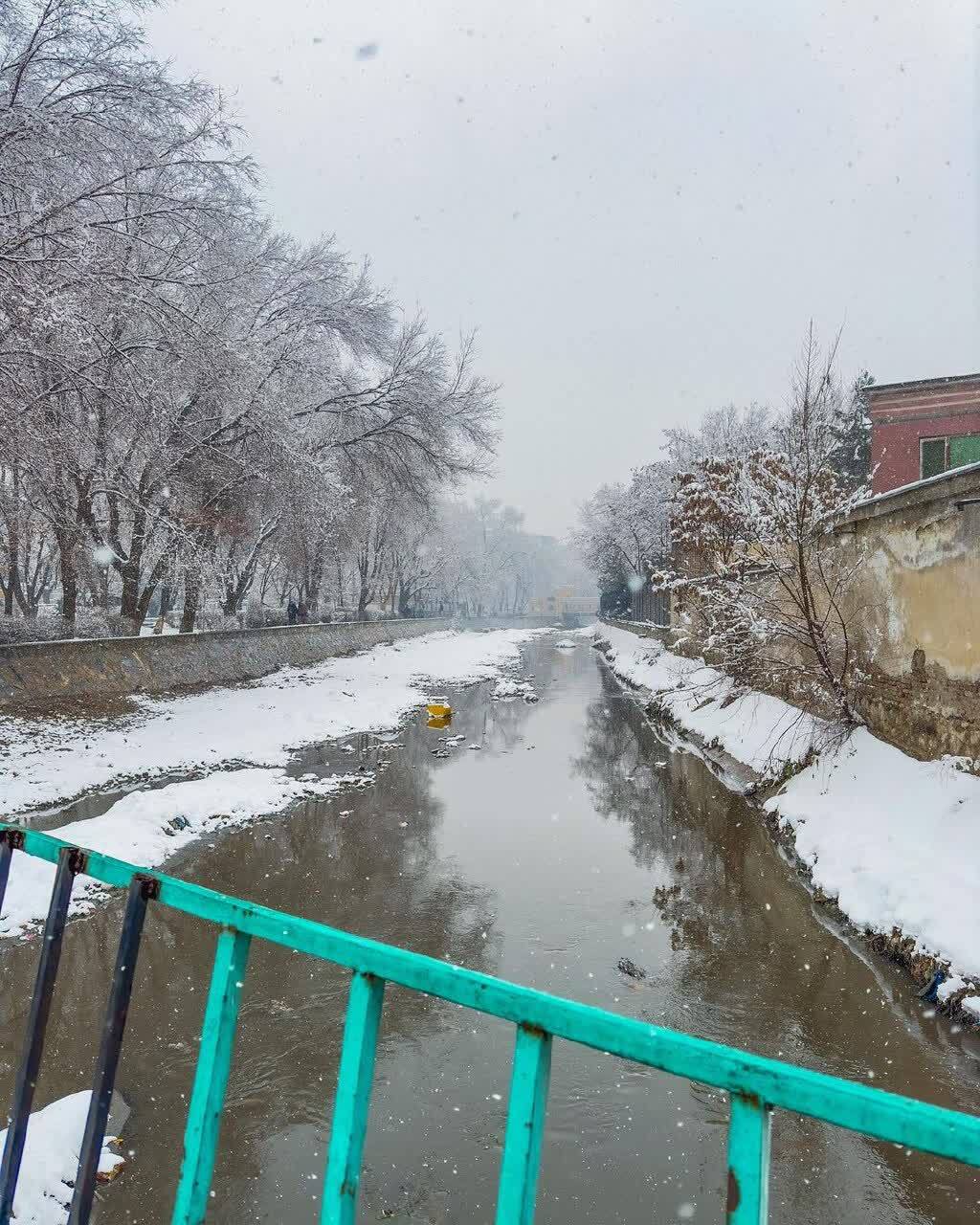 عکسهایی زیبا از یک روز برفی در کابل عکسهایی زیبا از یک روز برفی در کابل