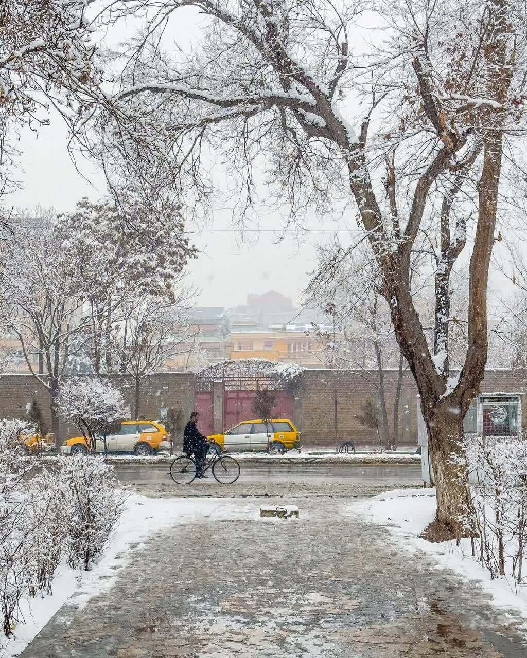 عکسهایی زیبا از یک روز برفی در کابل عکسهایی زیبا از یک روز برفی در کابل