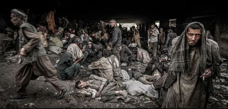 برترین عکسهای خبری مسابقه عکاسی مطبوعاتی بریتانیا برترین عکسهای خبری مسابقه عکاسی مطبوعاتی بریتانیا