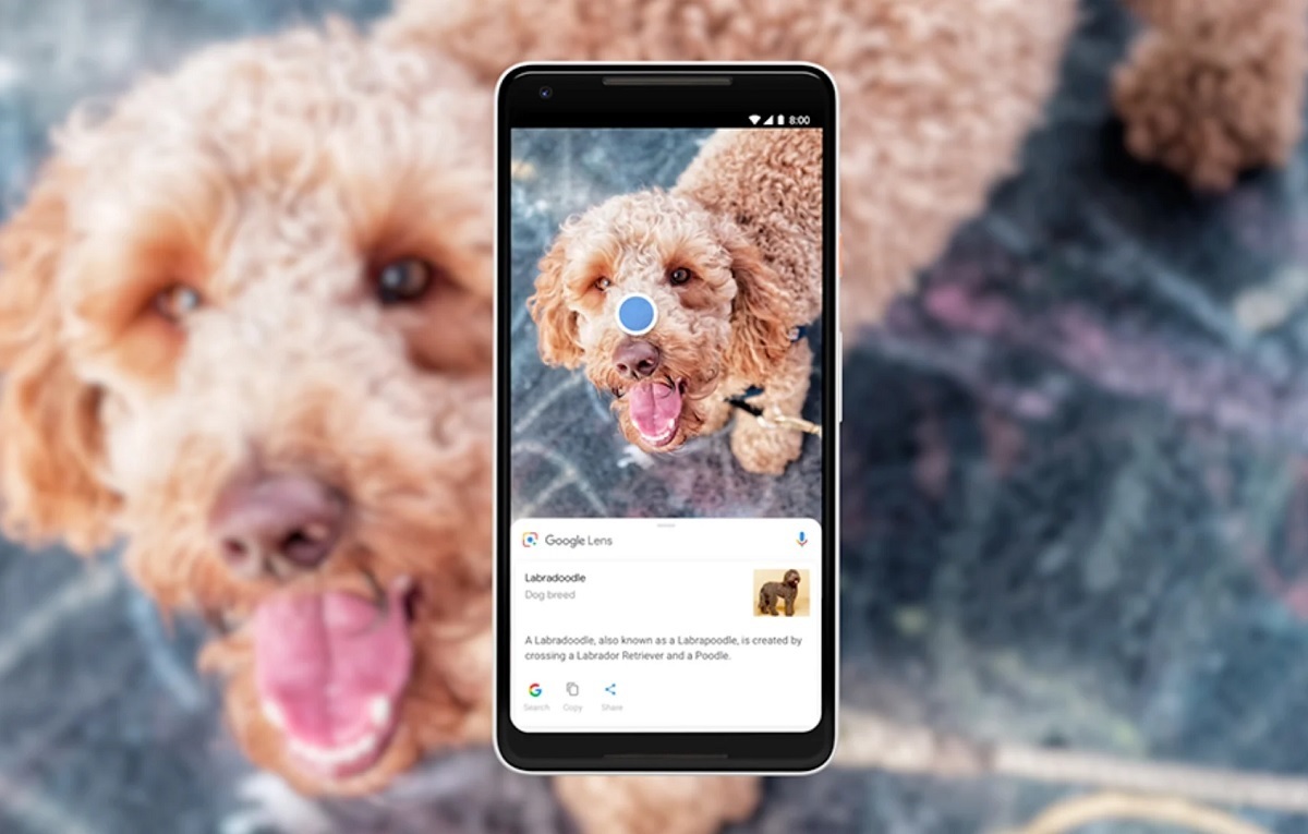 قابلیت‌های جدید «گوگل لنز» (Google Lens) رونمایی شد