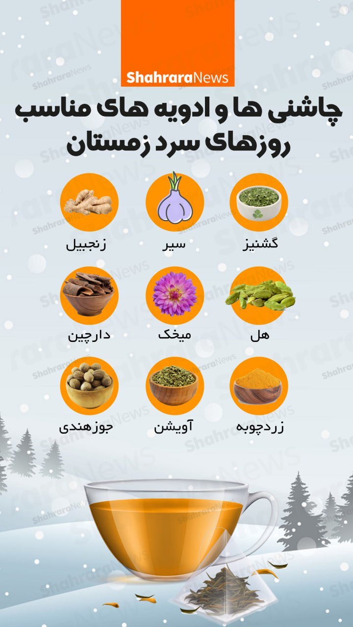 اینفوگرافی| چاشنی‌ها و ادویه‌های مناسب روزهای سرد زمستان