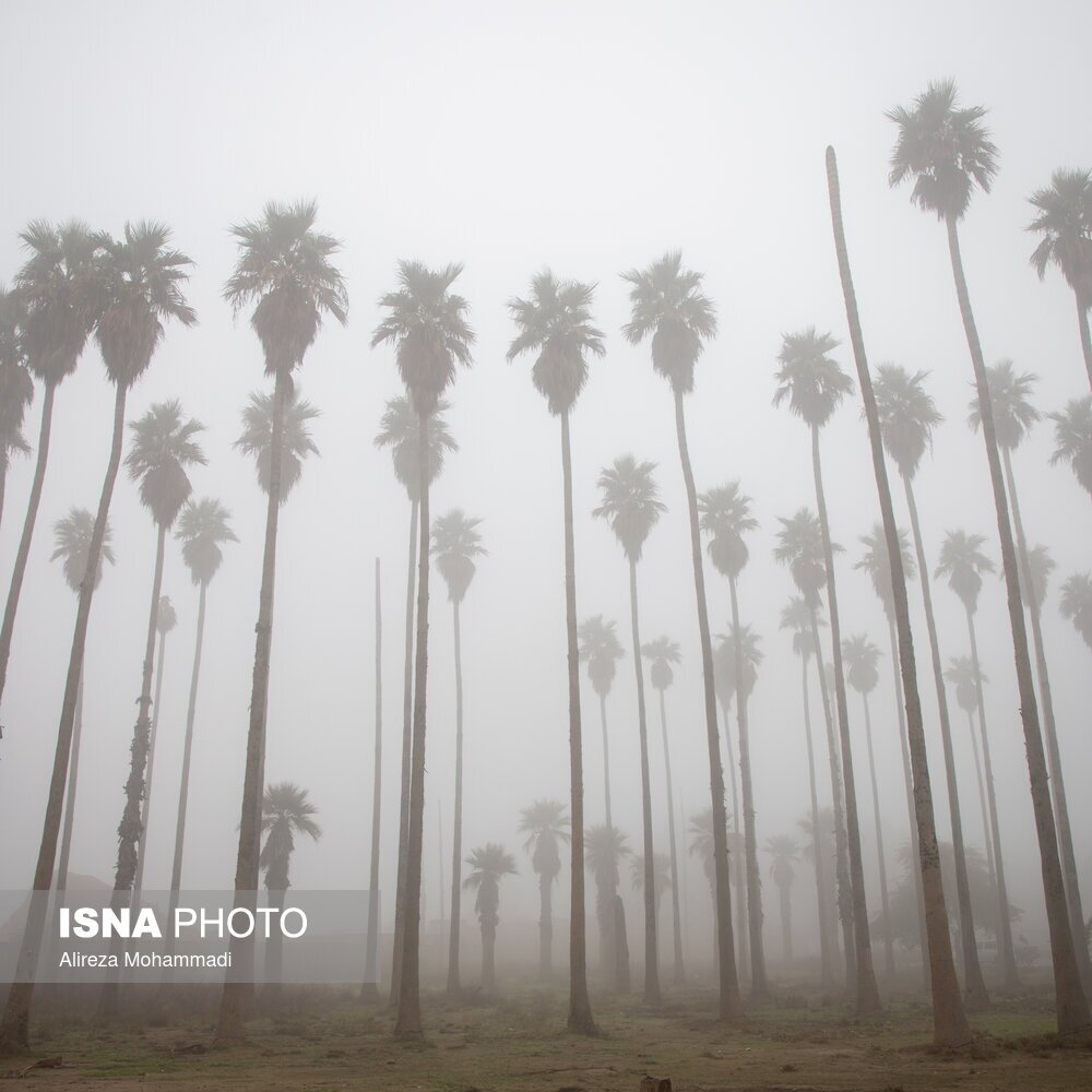 مه‌گرفتگی شدید در اهواز + تصاویر