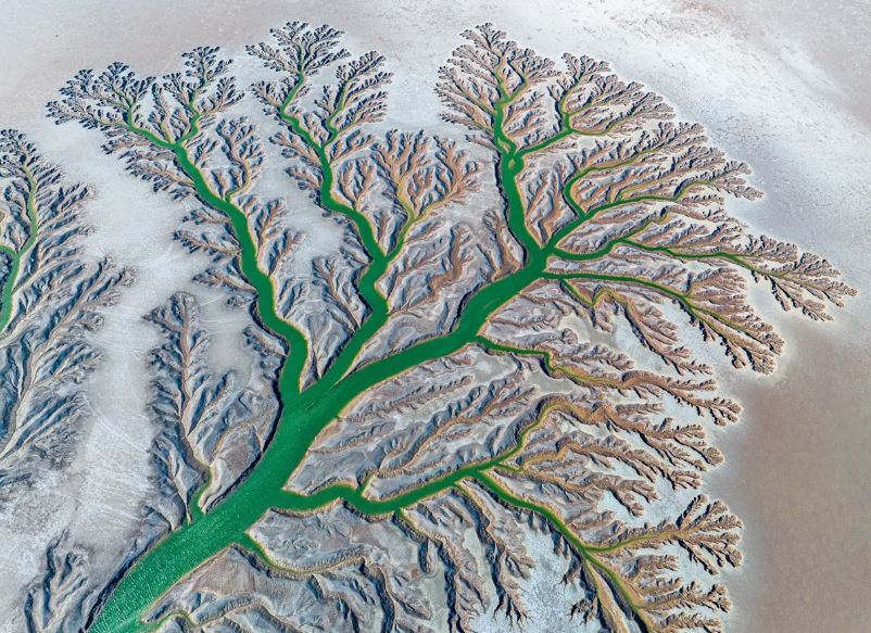 عکسهای برنده مسابقه عکاسی جزایر قناری ۲۰۲۳ عکسهای برنده مسابقه عکاسی جزایر قناری ۲۰۲۳