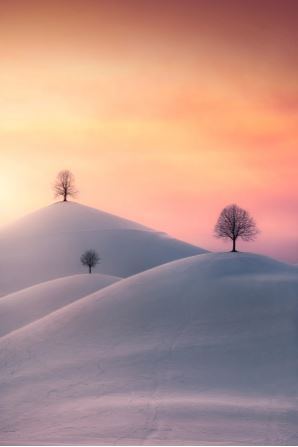 عکسهای برنده مسابقه عکاسی جزایر قناری ۲۰۲۳ عکسهای برنده مسابقه عکاسی جزایر قناری ۲۰۲۳