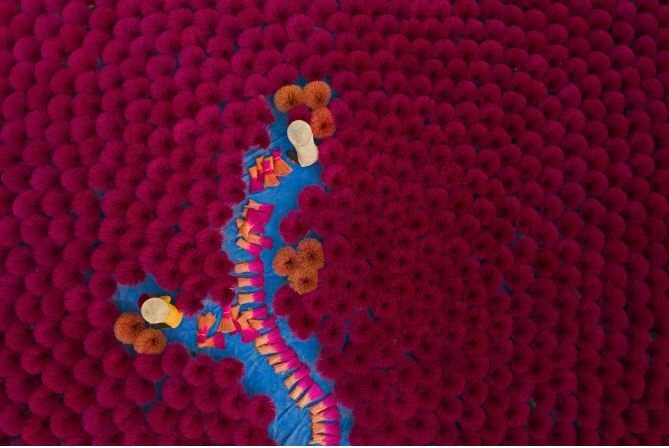 عکسهای برنده مسابقه عکاسی جزایر قناری ۲۰۲۳ عکسهای برنده مسابقه عکاسی جزایر قناری ۲۰۲۳