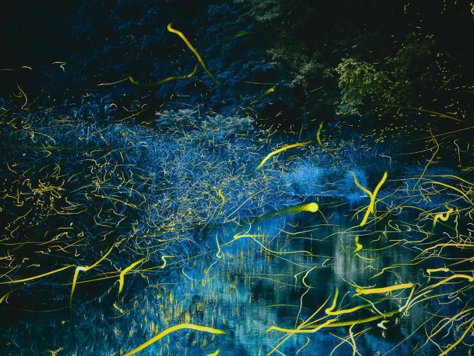 عکسهای برنده مسابقه عکاسی جزایر قناری ۲۰۲۳ عکسهای برنده مسابقه عکاسی جزایر قناری ۲۰۲۳