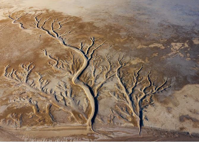 عکسهای برنده مسابقه عکاسی جزایر قناری ۲۰۲۳ عکسهای برنده مسابقه عکاسی جزایر قناری ۲۰۲۳