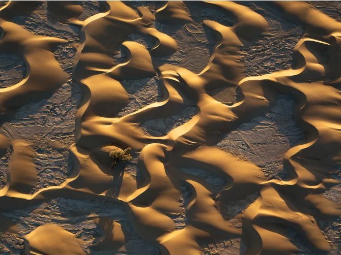 عکسهای برنده مسابقه عکاسی جزایر قناری ۲۰۲۳ عکسهای برنده مسابقه عکاسی جزایر قناری ۲۰۲۳