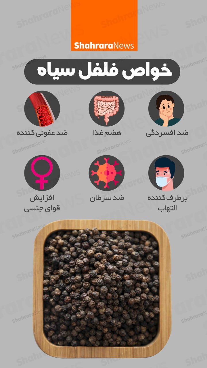 اینفوگرافی| خواص فلفل سیاه