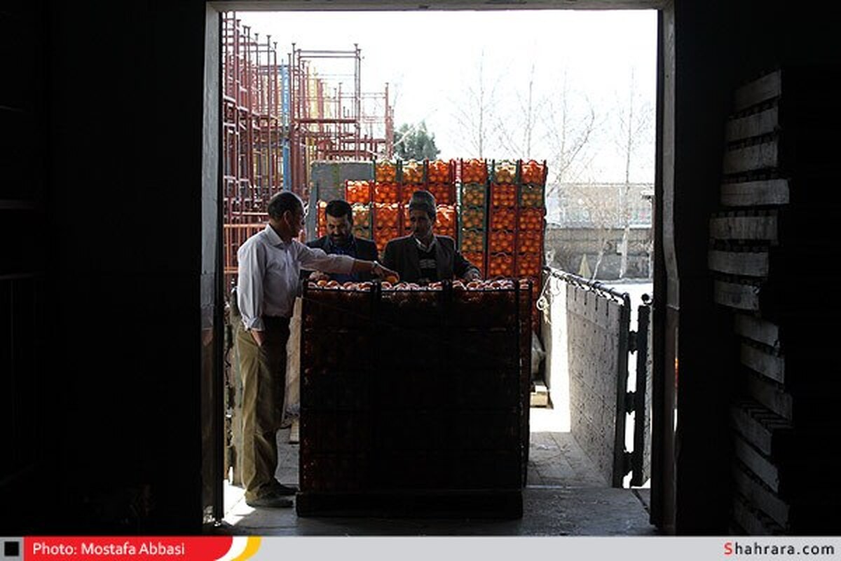 رییس جهاد کشاورزی مشهد گفت: عرضه مستقیم میوه تنظیم بازار در ۱۲ نقطه شهرستان مشهد تحت عنوان «ایست‌کار» انجام می‌شود.