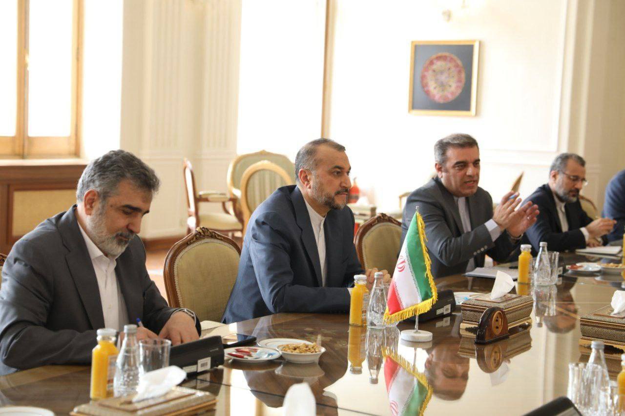 رافائل گروسی به دیدار امیرعبداللهیان رفت