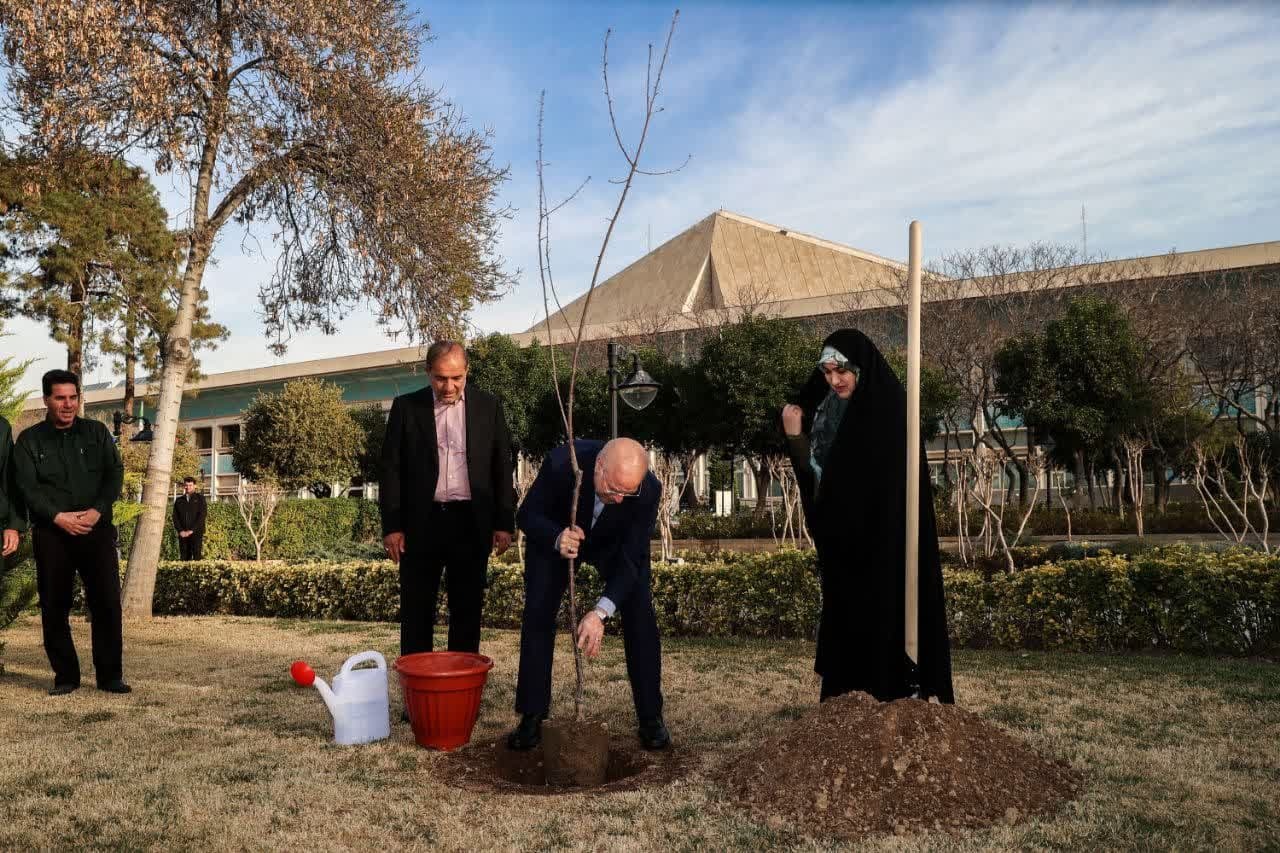 قالیباف در مراسم روز درختکاری: نهتنها برای حفظ محیطزیست بلکه باید برای ارتقای زیستی کشور تلاش کنیم قالیباف در مراسم روز درختکاری: نهتنها برای حفظ محیطزیست بلکه باید برای ارتقای زیستی کشور تلاش کنیم