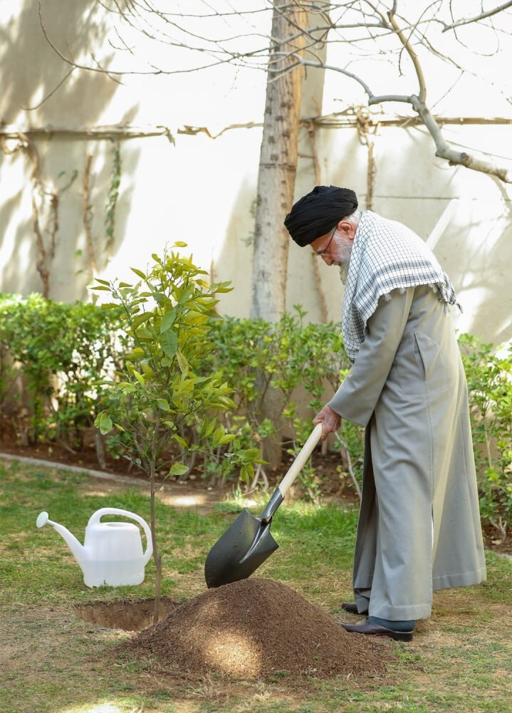 کاشت نهال توسط رهبر انقلاب در روز درختکاری+ عکس کاشت نهال توسط رهبر انقلاب در روز درختکاری+ عکس
