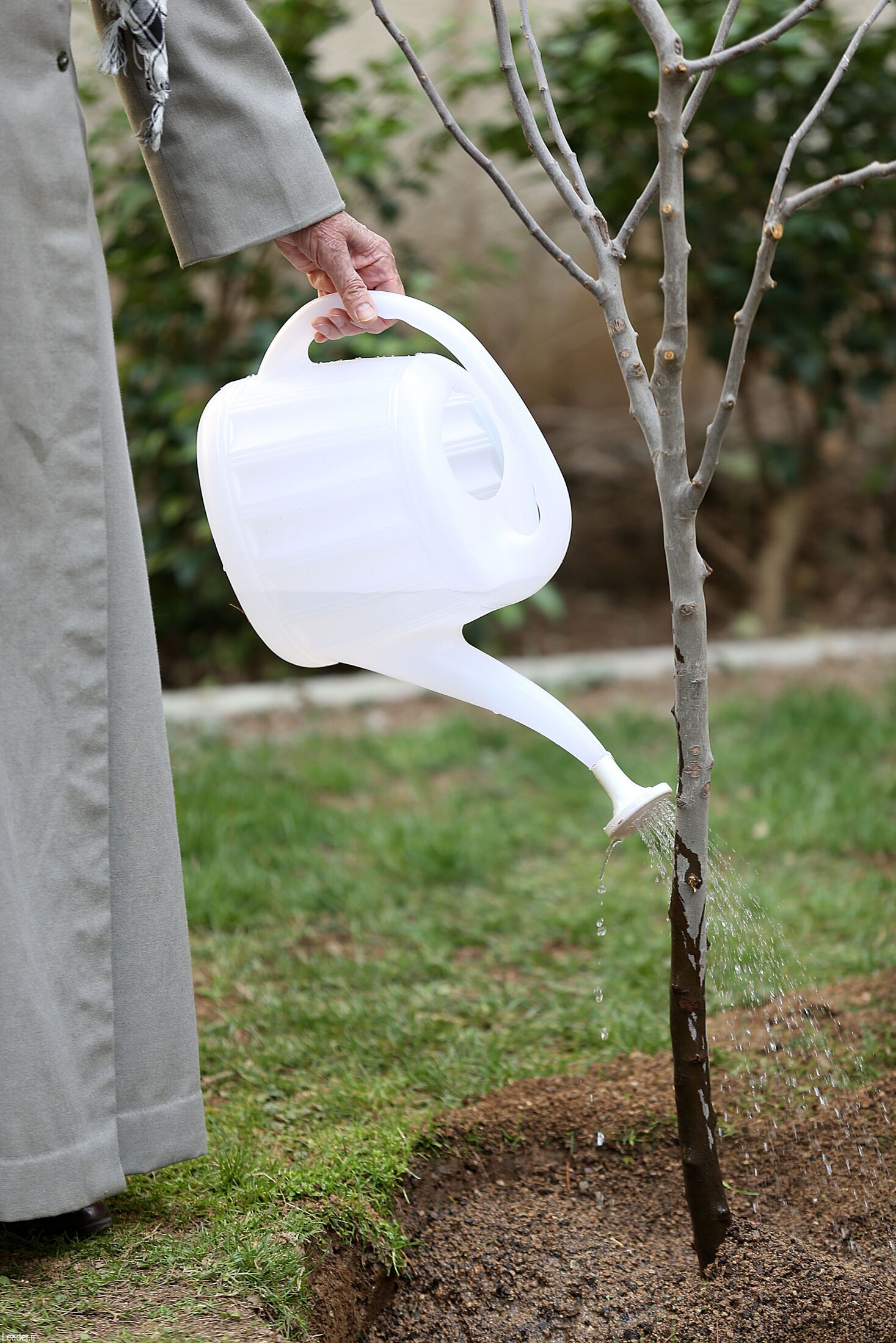 رهبر انقلاب در حاشیه مراسم روز درختکاری: مسئولان از همه راههای اقتصادی ممکن برای حل مشکلات استفاده کنند+ عکس و فیلم رهبر انقلاب در حاشیه مراسم روز درختکاری: مسئولان از همه راههای اقتصادی ممکن برای حل مشکلات استفاده کنند+ عکس و فیلم