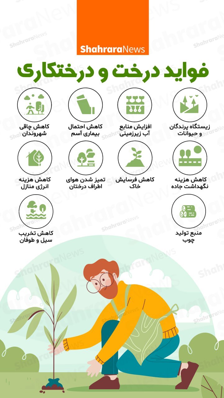 اینفوگرافی| فواید درخت و درختکاری
