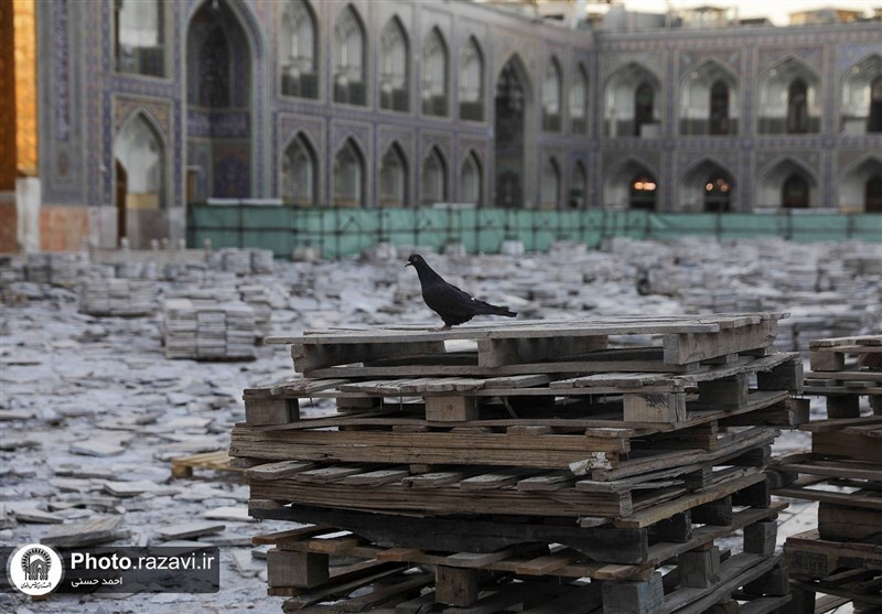 بازگشایی صحن انقلاب حرم رضوی پس از ۲۸۰ روز + عکس (۱۵ اسفندماه ۱۴۰۱) بازگشایی صحن انقلاب حرم رضوی پس از ۲۸۰ روز + عکس (۱۵ اسفندماه ۱۴۰۱)