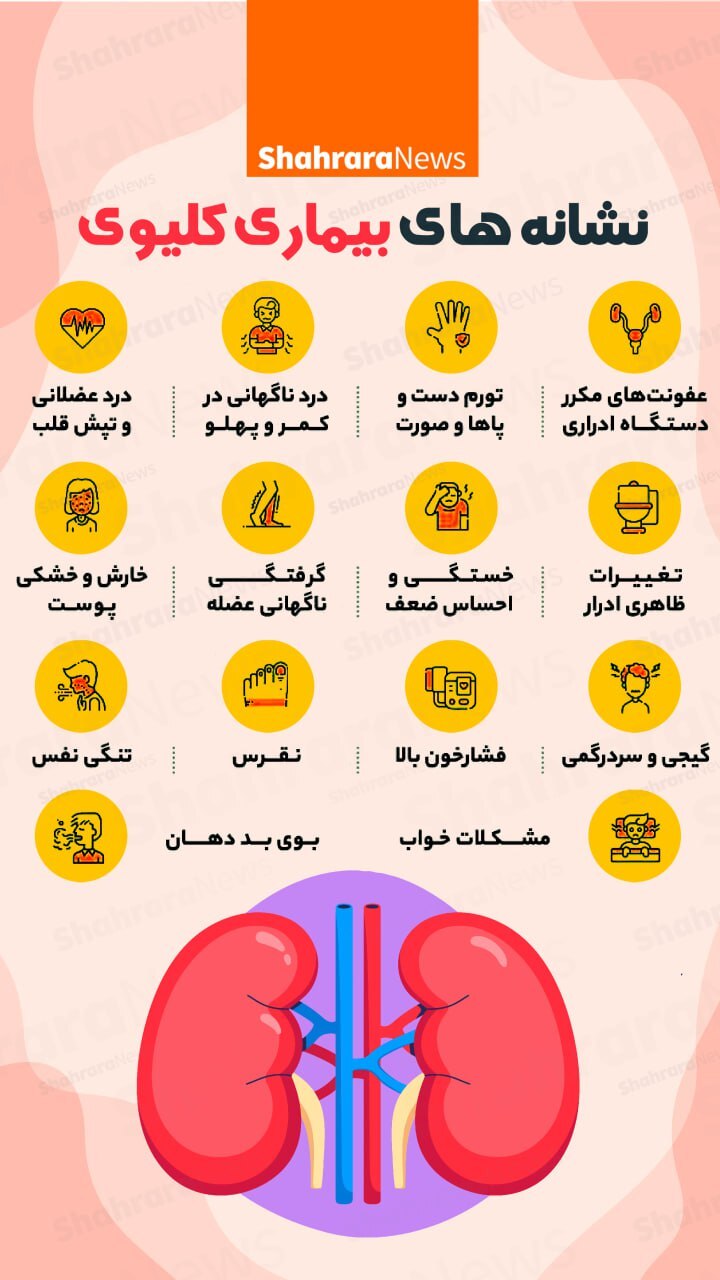 اینفوگرافی| نشانه‌های بیماری کلیوی