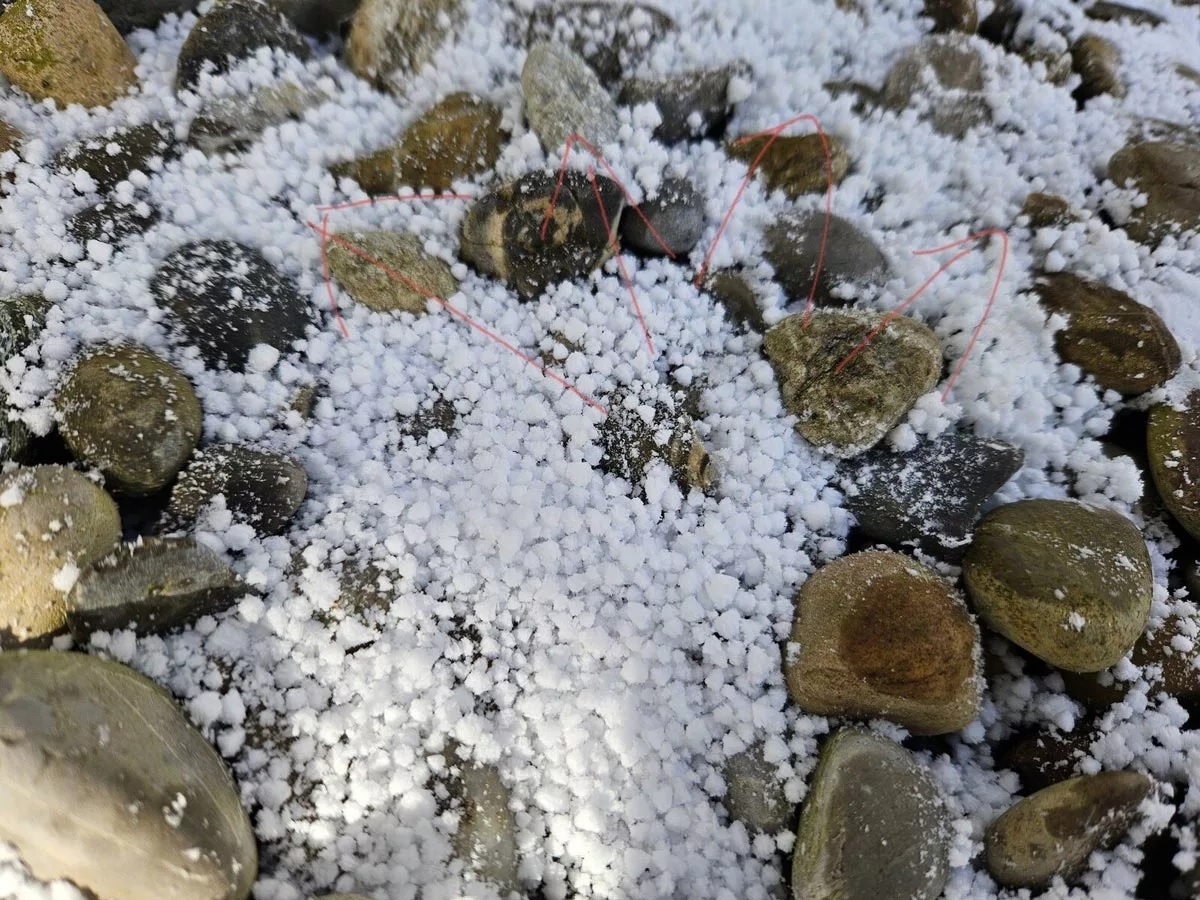 دوربین گلکسی S۲۳ و S۲۳ یک مشکل عجیب دارد! دوربین گلکسی S۲۳ و S۲۳ یک مشکل عجیب دارد!