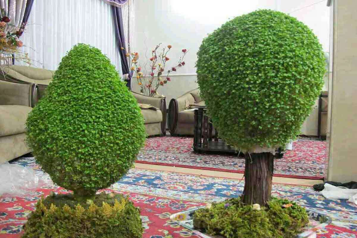 نحوه کاشت و تزئین سبزه سفره هفت سین عید نوروز ۱۴۰۲ نحوه کاشت و تزئین سبزه سفره هفت سین عید نوروز ۱۴۰۲