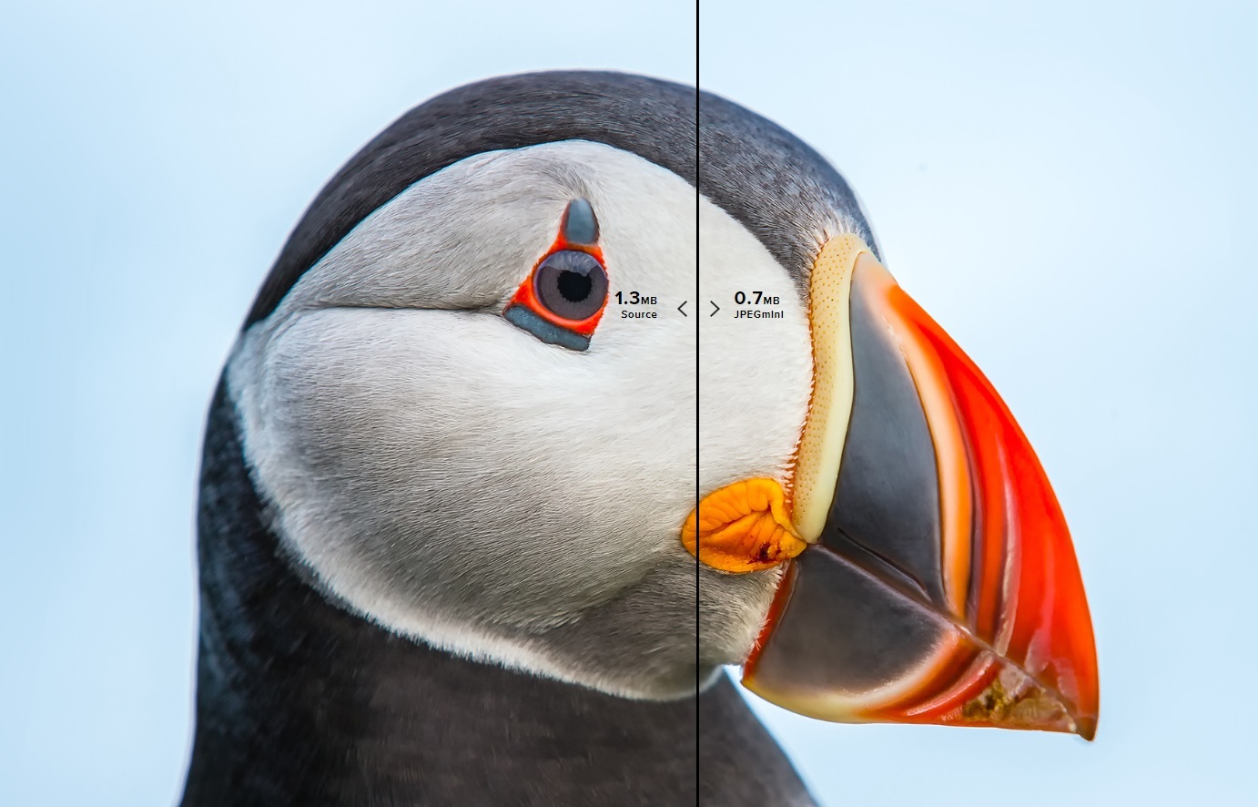 راههای کاهش حجم و سایز عکس بدون افت کیفیت + بهترین ابزارهای آنلاین کمکردن حجم تصویر راههای کاهش حجم و سایز عکس بدون افت کیفیت + بهترین ابزارهای آنلاین کمکردن حجم تصویر