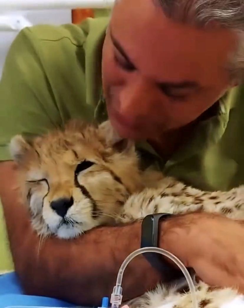 درباره علیرضا شهرداری، تیمارگر پیروز + عکس درباره علیرضا شهرداری، تیمارگر پیروز + عکس