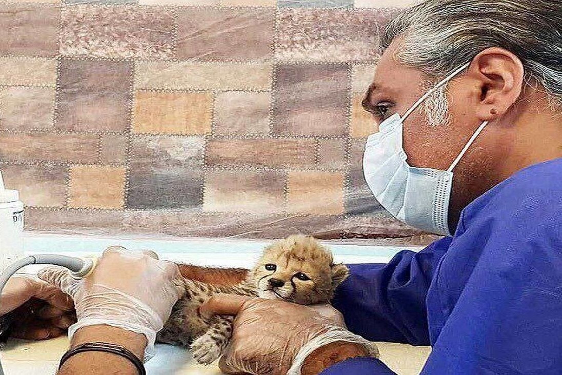 درباره علیرضا شهرداری، تیمارگر پیروز + عکس درباره علیرضا شهرداری، تیمارگر پیروز + عکس