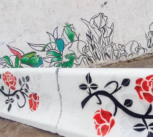 پاکبان هنرمند پاکبان هنرمند