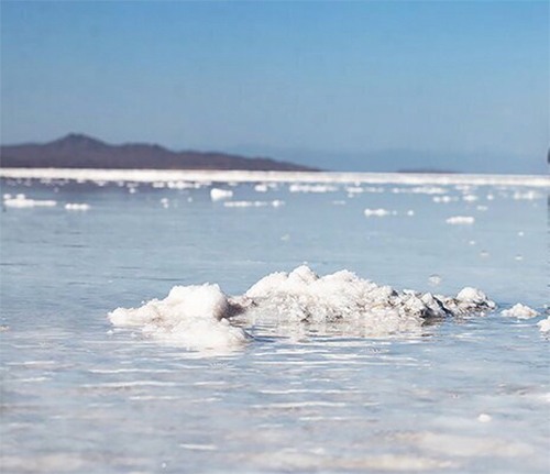 بخشندگی بهار در کفه نمکی «رحمانیه»